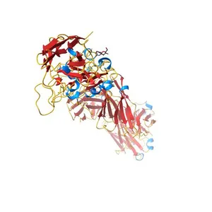 H11-D4, SARS-CoV-2 RBD, CR3022 ternary complex