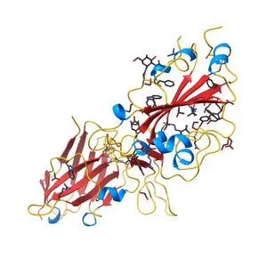 H11-D4 complex with SARS-CoV-2 RBD