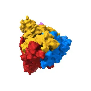Cryo-EM Structure of SARS-CoV-2 Spike : H11-D4 Nanobody Complex