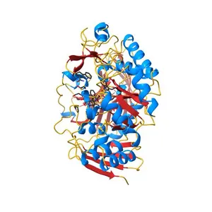 Crystal structure of Alpha-galactosidase (EC 3.2.1.22) (Melibiase) (tm1192) from Thermotoga maritima at 2.34 A resolution