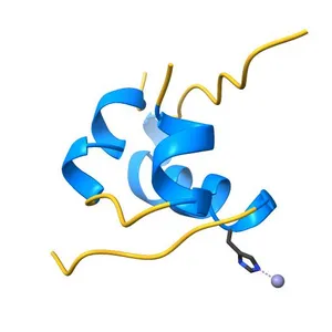 THE STRUCTURE OF 2ZN PIG INSULIN CRYSTALS AT 1.5 ANGSTROMS RESOLUTION