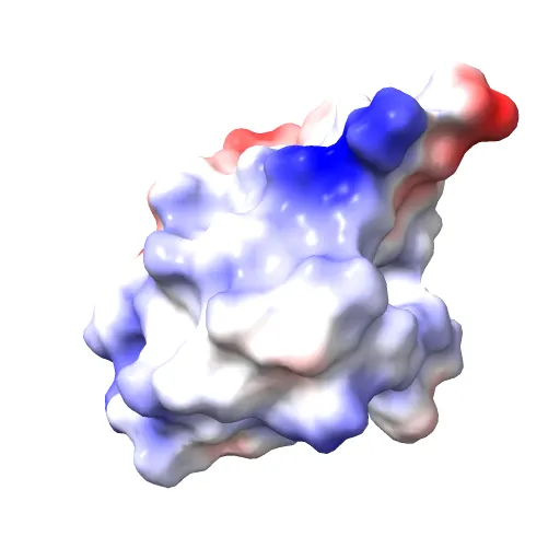 THE STRUCTURE OF 2ZN PIG INSULIN CRYSTALS AT 1.5 ANGSTROMS RESOLUTION — Image 2 of 13