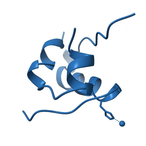 THE STRUCTURE OF 2ZN PIG INSULIN CRYSTALS AT 1.5 ANGSTROMS RESOLUTION — Image 3 of 13