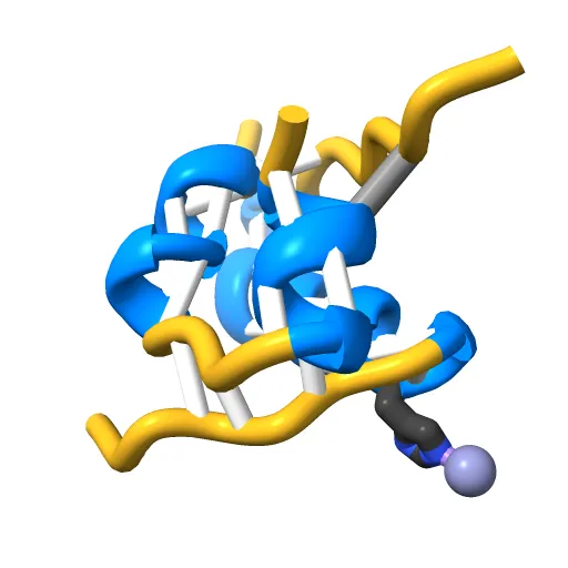 THE STRUCTURE OF 2ZN PIG INSULIN CRYSTALS AT 1.5 ANGSTROMS RESOLUTION — Image 4 of 13