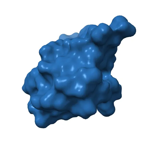 THE STRUCTURE OF 2ZN PIG INSULIN CRYSTALS AT 1.5 ANGSTROMS RESOLUTION — Image 7 of 13
