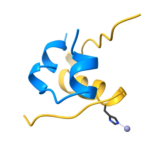 THE STRUCTURE OF 2ZN PIG INSULIN CRYSTALS AT 1.5 ANGSTROMS RESOLUTION — Image 9 of 13