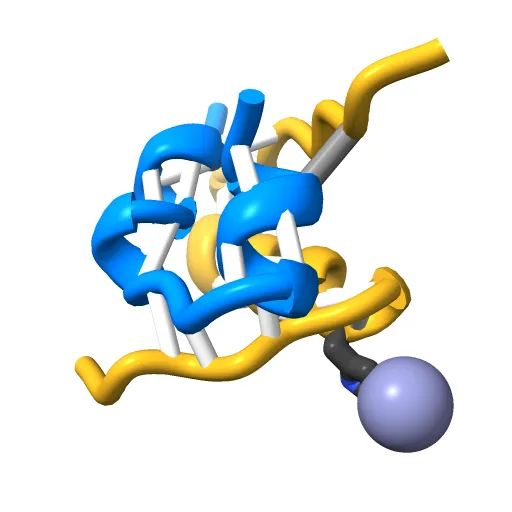 THE STRUCTURE OF 2ZN PIG INSULIN CRYSTALS AT 1.5 ANGSTROMS RESOLUTION — Image 10 of 13