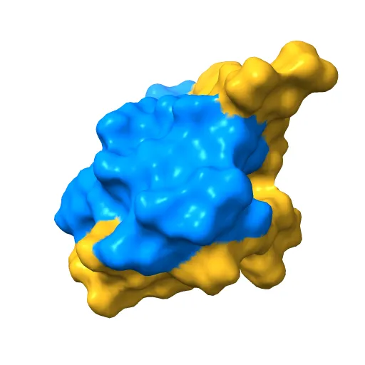THE STRUCTURE OF 2ZN PIG INSULIN CRYSTALS AT 1.5 ANGSTROMS RESOLUTION — Image 11 of 13