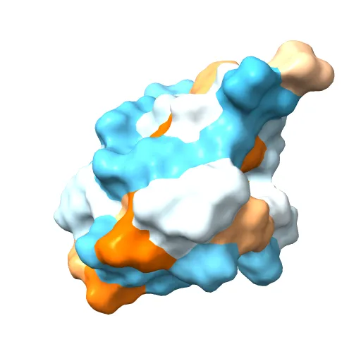 THE STRUCTURE OF 2ZN PIG INSULIN CRYSTALS AT 1.5 ANGSTROMS RESOLUTION — Image 12 of 13