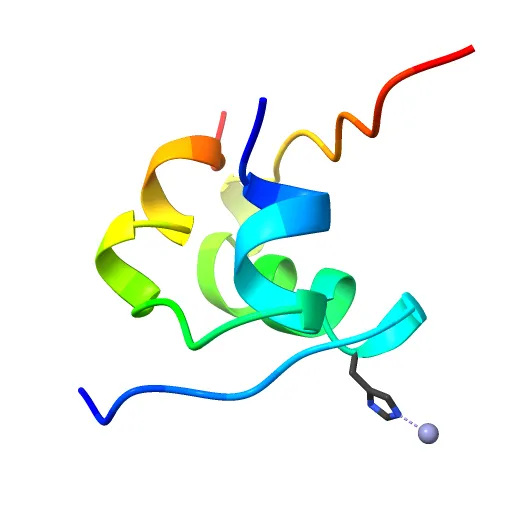THE STRUCTURE OF 2ZN PIG INSULIN CRYSTALS AT 1.5 ANGSTROMS RESOLUTION — Image 13 of 13