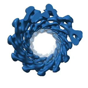 Electron cryo-microscopy structure of PB1-p62 filaments