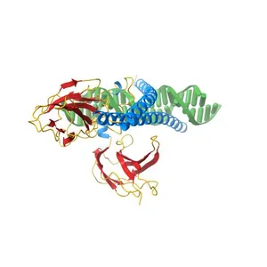 STRUCTURE OF THE DNA BINDING DOMAINS OF NFAT, FOS AND JUN BOUND TO DNA
