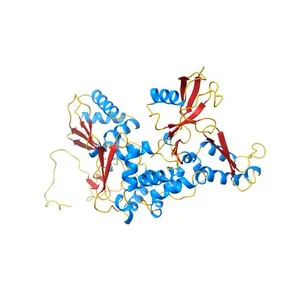 Structure and Function of a Ubiquitin Binding Site within the Catalytic Domain of a HECT Ubiquitin Ligase