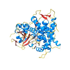 Cytochrome P450 BM3 mutant M11