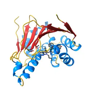 Hsp90-alpha bound to PU-11-trans