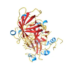 THROMBIN INHIBITOR FROM TRIATOMA PALLIDIPENNIS