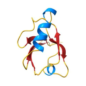 Structure of the PDZ domain of human PDLIM2 bound to a C-terminal extension from human beta-tropomyosin