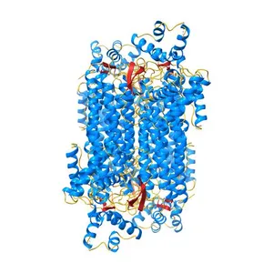 Crystal structure of fumarate hydratase class II Mycobacterium smegmatis