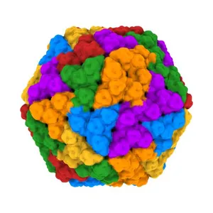 The Atomic Structure of Rice dwarf Virus (RDV)