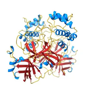 Room-temperature X-ray Crystal structure of SARS-CoV-2 main protease in complex with Leupeptin