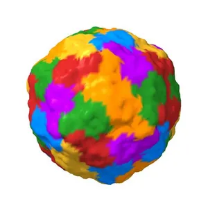 Crystal structure of hepatitis A virus