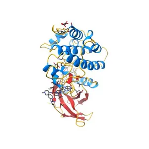 Structure of PLK1 in complex with BI2536