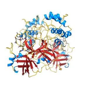 Crystal structure of the SARS-CoV-2 (COVID-19) main protease in complex with inhibitor UAW248