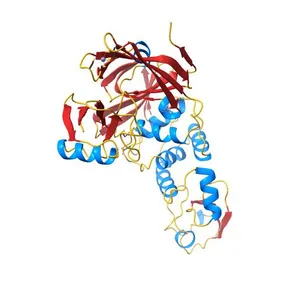 SARS CoV-2 PLpro in complex with ubiquitin propargylamide