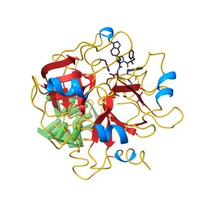 COMPLEX OF HUMAN ALPHA-THROMBIN WITH A 15MER OLIGONUCLEOTIDE GGTTGGTGTGGTTGG (BASED ON NMR MODEL OF DNA)