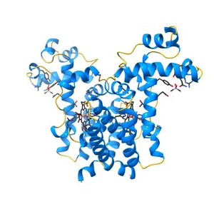 X-ray Crystal Structure of Wild Type HrtR in the Holo Form