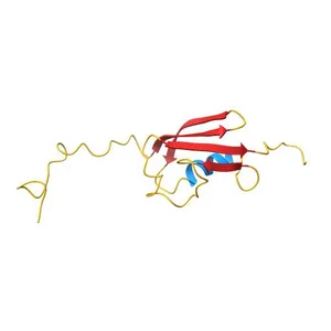 STRUCTURE DETERMINATION OF THE SMALL UBIQUITIN-RELATED MODIFIER SUMO-1, NMR, 10 STRUCTURES