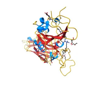 Structure of sybody SR4 in complex with the SARS-CoV-2 S Receptor Binding domain (RBD)