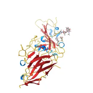 Structure of sybody MR17 in complex with the SARS-CoV-2 S receptor-binding domain (RBD)