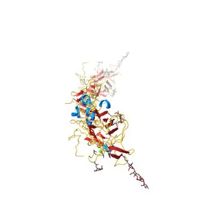 X-ray Crystal Structure of Mouse Netrin-1