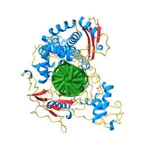 Structural Mechanisms of Camptothecin Resistance by Mutations in Human Topoisomerase I