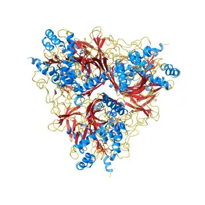 Crystal Structure of Biphenyl 2,3-Dioxygenase from Sphingomonas yanoikuyae B1 Bound to Biphenyl