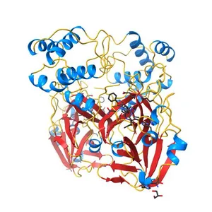Crystal structure of the SARS-CoV-2 (COVID-19) main protease in complex with UAW243