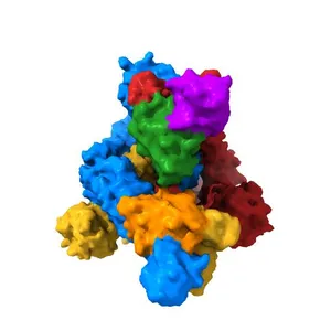 Structure of the SARS-CoV-2 spike glycoprotein in complex with the C105 neutralizing antibody Fab fragment (state 1)