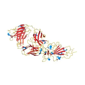 Structure of SARS-CoV-2 spike protein receptor binding domain in complex with a potent neutralizing antibody, CV30 Fab