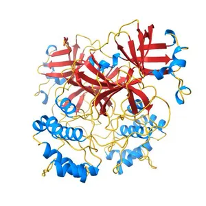 Room temperature X-ray crystallography reveals oxidation and reactivity of cysteine residues in SARS-CoV-2 3CL Mpro: Insights for enzyme mechanism and drug design
