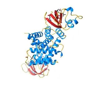The 1.5 A Crystal Structure of the Co-factor Complex of NSP7 and the C-terminal Domain of NSP8 from SARS CoV-2
