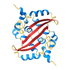 Crystal Structure of C-terminal Dimerization Domain of Nucleocapsid Phosphoprotein from SARS-CoV-2, crystal form II