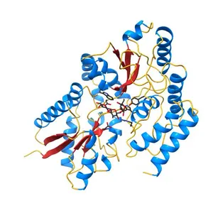 Crystal structure of cyclic alpha-maltosyl-1,6-maltose binding protein from Arthrobacter globiformis