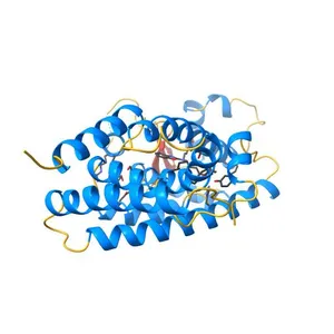 X-ray structure of human PPARalpha ligand binding domain-pemafibrate co-crystals obtained by cross-seeding