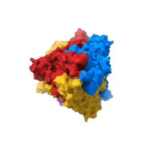 SARS-CoV-2 Spike glycoprotein in complex with a neutralizing antibody EY6A Fab
