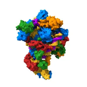 Transcription initiation complex structures elucidate DNA opening (CC)