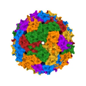 MS2-RNA HAIRPIN (G-10) COMPLEX