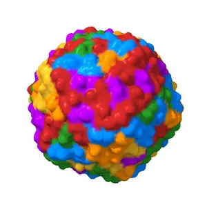 The Crystallographic Structure of Panicum Mosaic Virus