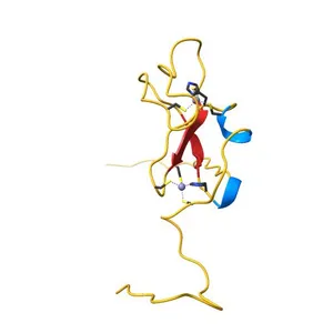 Solution structure of the first Phorbol esters/diacylglycerol binding domain of human Protein kinase C, delta