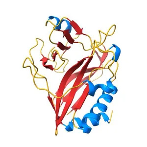 CdiA-CT/CdiI toxin and immunity complex from Enterobacter cloacae